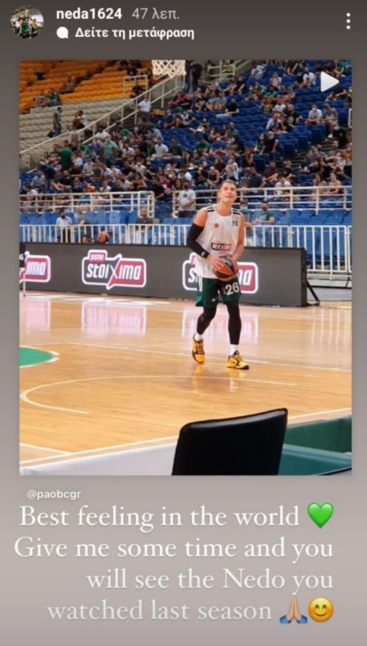 nedovic instagram